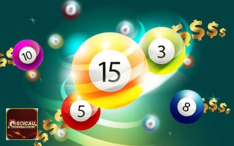Bạch thủ lô rồng bạch kim thứ 2 - Bạch thủ lô rồng bạch kim thứ 2 là gì? Bạch thủ lô rồng bạch kim thứ 2 - Bạch thủ lô rồng bạch kim thứ 2 là gì?