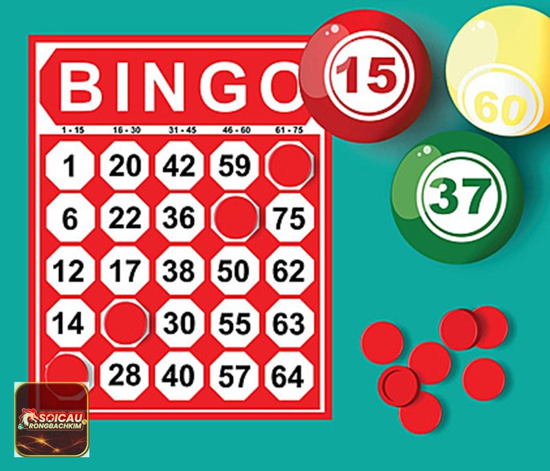 Bạch thủ lô rồng bạch kim thứ 4 - Cách đọc dữ liệu bạch thủ lô Bạch thủ lô rồng bạch kim thứ 4 - Cách đọc dữ liệu bạch thủ lô